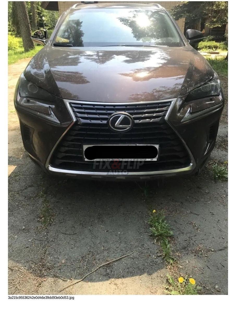 Lexus NX 2018