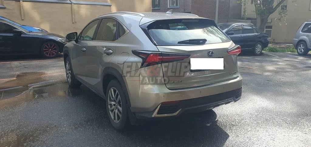 Lexus NX 2019