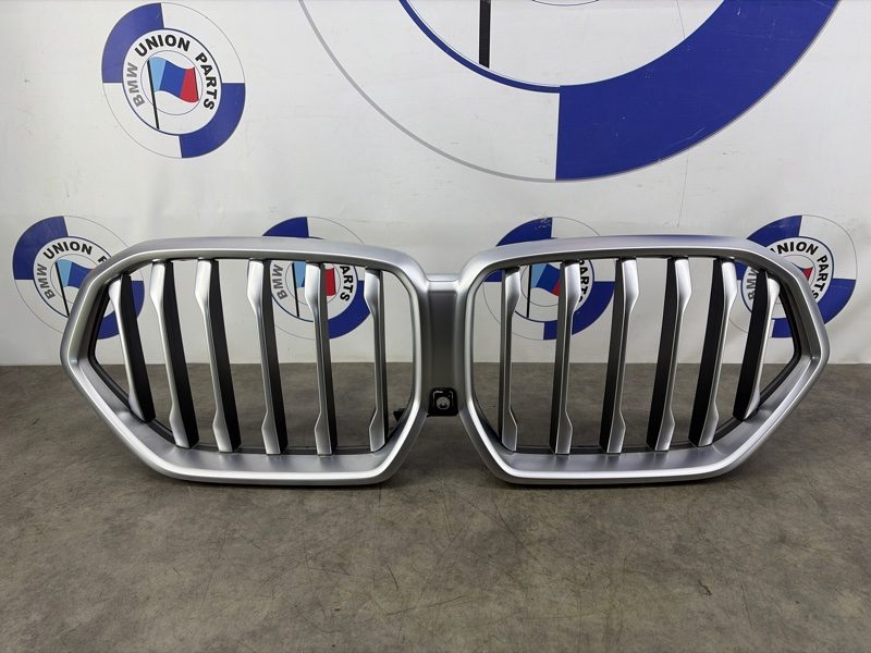 Решетка радиатора iconic glow BMW X6 G06