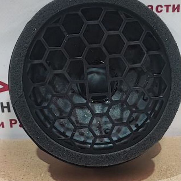Передние динамики Skoda