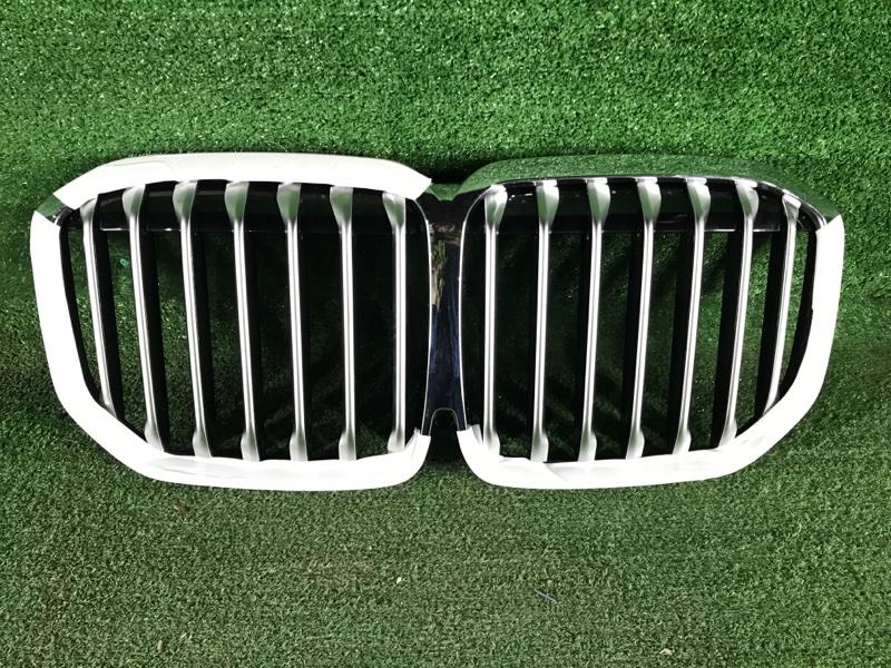 С964 Решетка радиатора BMW X7 G07 (2019-2022)