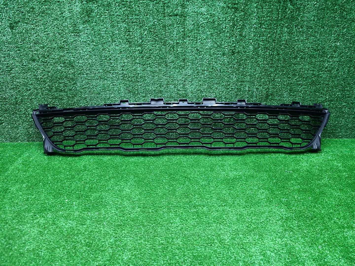 Решетка переднего бампера BMW X7 G07 19-22 M-paket